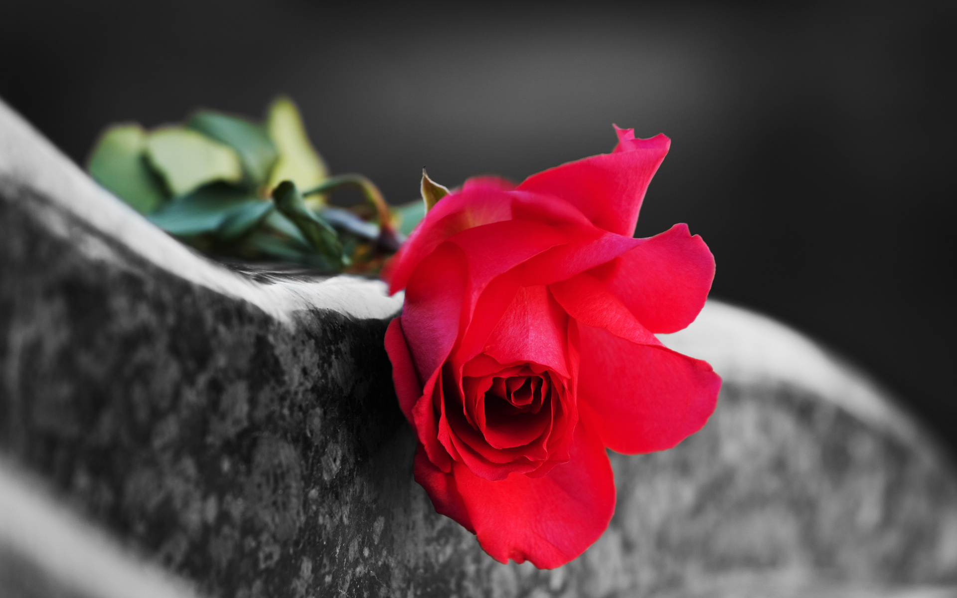 bitcoin obituaries lightning network flowers graveyard