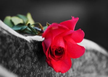 bitcoin obituaries lightning network flowers graveyard