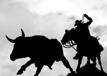 Bitcoin Price 22% Gain is Not a Sign of a Bull Market: Brian Kelly