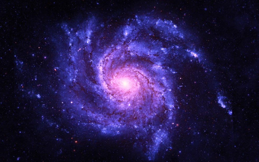 cosmos