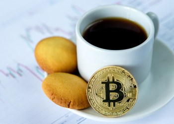 weekend digest bitcoin