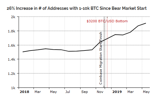 Whale Wallets Accumulating Bitcoin During 2018 Bear Market