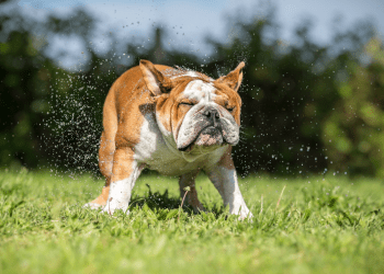 Bitcoin Price Regains $6000 Trajectory As Markets Shake Off Binance Hack