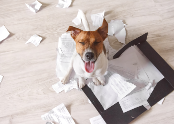 bitcoin lightning network invoice