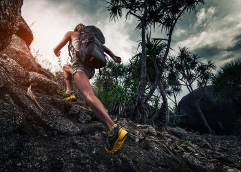 Bitcoin price climbs back