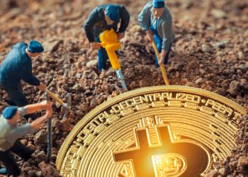 bitcoin network activity ATH