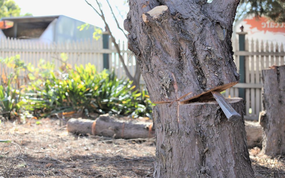 bitcoin price falling wedge