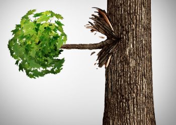 crypto exchange poloniex spinning-off