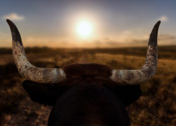 bitcoin market s&p 500