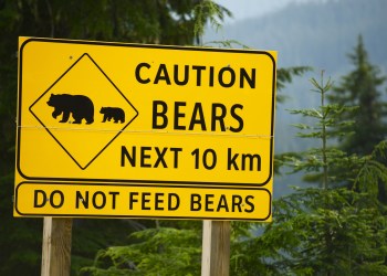 Crypto market primed for bearish Q4