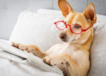 sunday bitcoin news