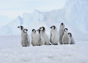 Bitcoin Price Forces Small Miners Out