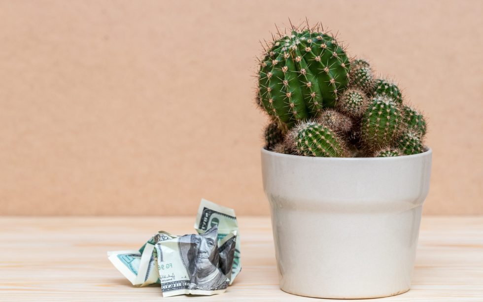 unified muslim crypto