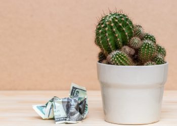 unified muslim crypto