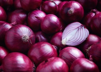 bitcoin tor transactions