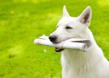 bitcoin weekly update