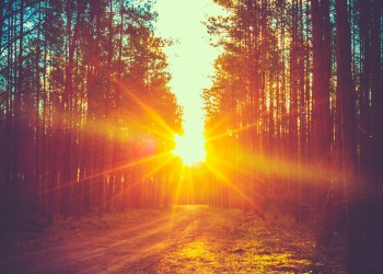 Fundstrat's Tom Lee Sees Bright Future for Crypto in 2020