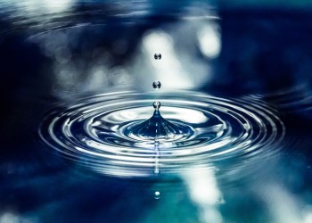 Ripple Launches New XRP Fraud Reporting Procedure