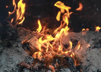 FCoin Employee Allegedly Burns Team Member Tokens Worth $75M