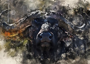 These Bitcoin Bull Signals Paint a Promising Picture For Q2