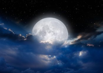 Will Bitcoin Price Hit $70,000 Post Halving?