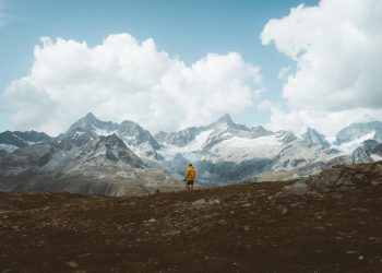 These 4 Fundamental Signs Show a Bitcoin Bull Rally is Growing More Likely