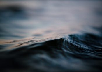 Macro Volume Shows Bitcoin Could Reverse Into a Full-Blown Bull Market