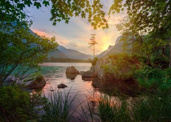 Bitcoin Rallied 140% It Claimed This Critical Level. It Just Happened Again