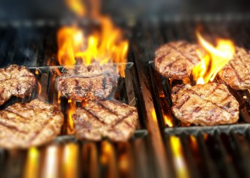 bitcoin beyond meat inc btcusd