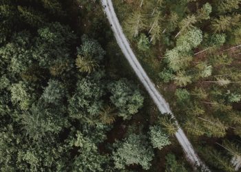 Bitcoin Will Rally 100-400% In the Coming 18 Months: Top Analyst Explains Why