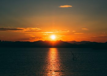 bitcoin price featured image