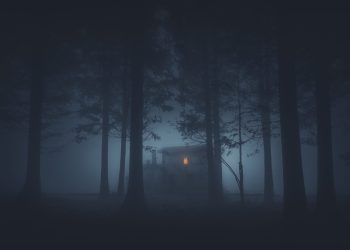 Bitcoin price featured image