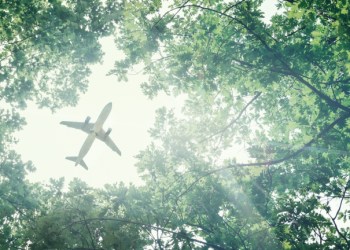 Options Traders are Nearly All Long on Bitcoin; What This Means for BTC