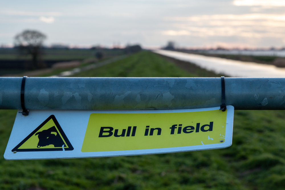 bitcoin, cryptocurrency, btcusd, btcusdt, xbtusd, crypto