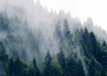 Here’s Why Bitcoin’s Outlook Remains Bleak as Long as It Trades Below $10,500