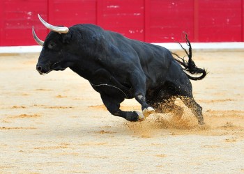 bitcoin, cryptocurrency, btcusd, xbtusd, btcusdt