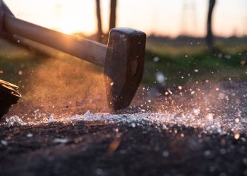 Here’s Why Bitcoin Could Crush Altcoins in Coming Weeks