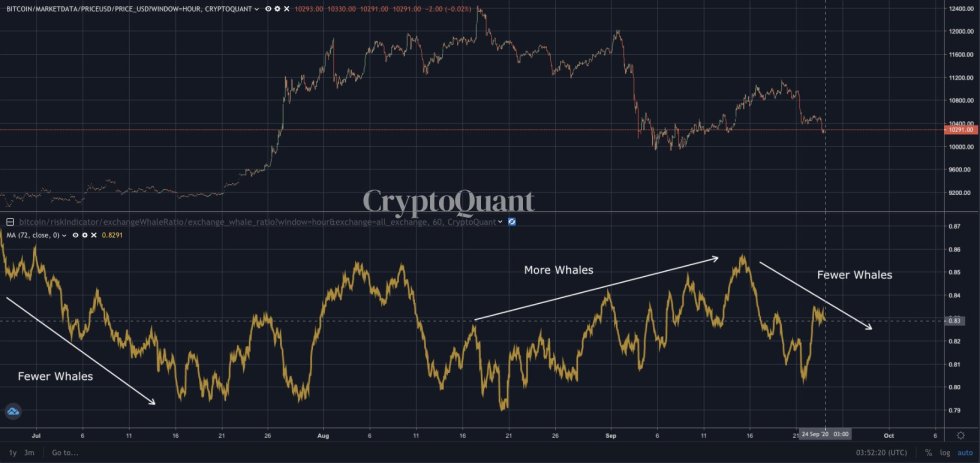 bitcoin, btcusd, btcusdt, xbtusd, cryptocurrency, Euro, EURUSD, cryptocurrency, bitcoin whales