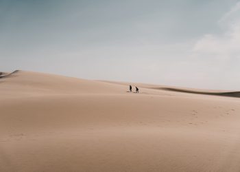 Despite $2,000 Drop, Bitcoin Is Holding a Critical Macro Level