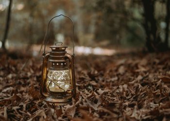 Ethereum Expected to Bounce as Price Cleanly Bounces Off $385