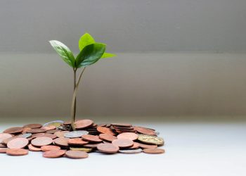Anthony Pompliano Announces He Has 80% of His Capital in Bitcoin