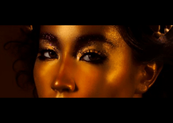 Pteria DAO presents the PTERIA Token