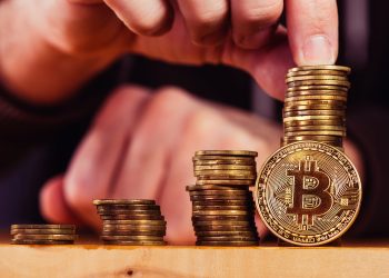 bitcoin market cap all time high sats compared