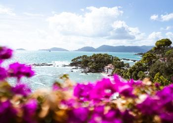 Ethereum Surges to $470 Amid ETH2 Launch and DeFi Rally