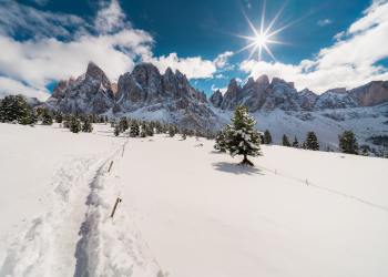 Why Some Bulls Think Bitcoin Hits $500,000 Over the Coming Years