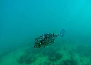 Analyst Who Called March’s V-Shaped Reversal Says Bitcoin May Drop to $15k