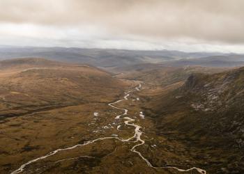 John Hopkins Economist: Bitcoin Is Still “Highly Unstable” and “Speculative”