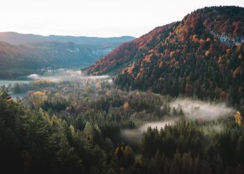 Macro Analyst Expects “US Dollar Bear Market” to Boost Bitcoin Higher