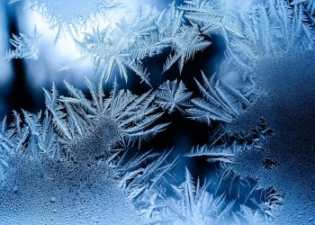 Traders Forecast Bitcoin Will See a “Cool-down Period” as Rally Overheats