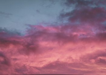 Ethereum Erases Recent Losses as Analysts Eye Move to $800 Next